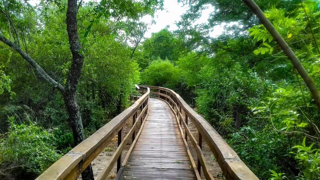 Termas de Río Hondo - Relax y bienestar total